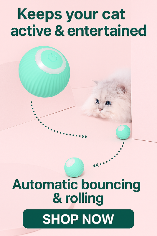 PetVerse.Co Interactive Ball